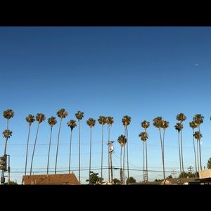 Meet your Posher, Victor